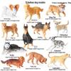 Kids' Cognitive Animal Model Set: Chicken, Duck, Goose, Cow, Pig, Sheep, Donkey, Cat, Dog, Horse