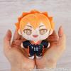 Haikyu!! [Anime Version] Hinata Shoyo Nui Pal [Plush Toy]