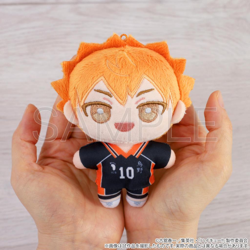 Haikyu!! [Anime Version] Hinata Shoyo Nui Pal [Plush Toy]