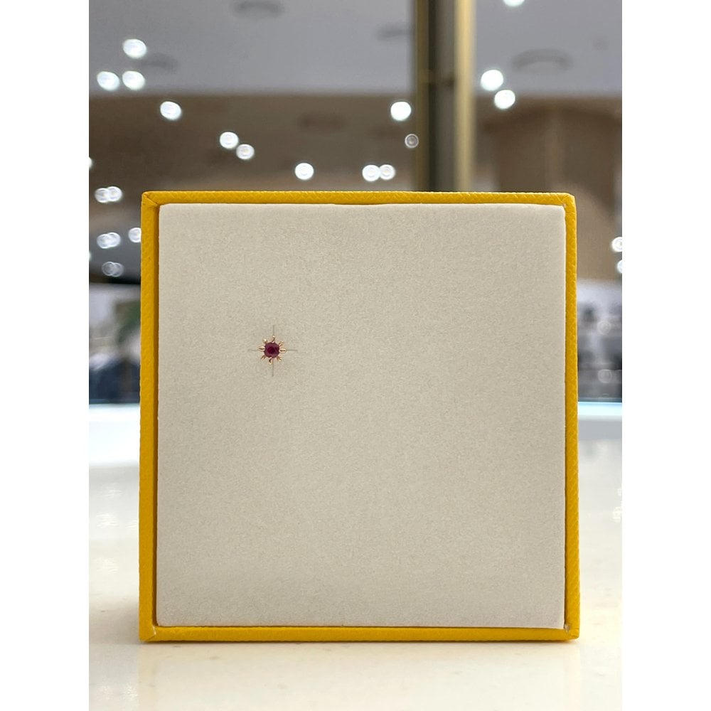 Roseedor Fepr-D-1932P Ruby 14K Piercing 222300010