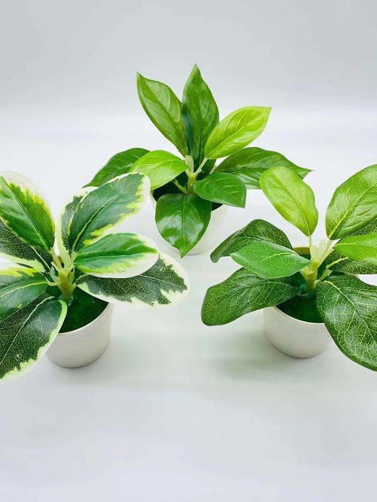 Props Home Decoration Desktop Ornament Faux Grass Lifelike Greenery Potted Artificial Plants Bonsai Simulation Scindapsus