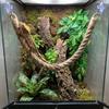 Reptiles Animal Tanks Accessory Climbing Rope Toy For Snake Climbing And Exercise Enclosure Toy for Reptiles Enrichment
