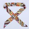 New Fashion Retro Pinrt Bag Luxury Designer Womens Silk Scarf Headwear Long Skinny Tie Scarves Ribbon Accessories Summer