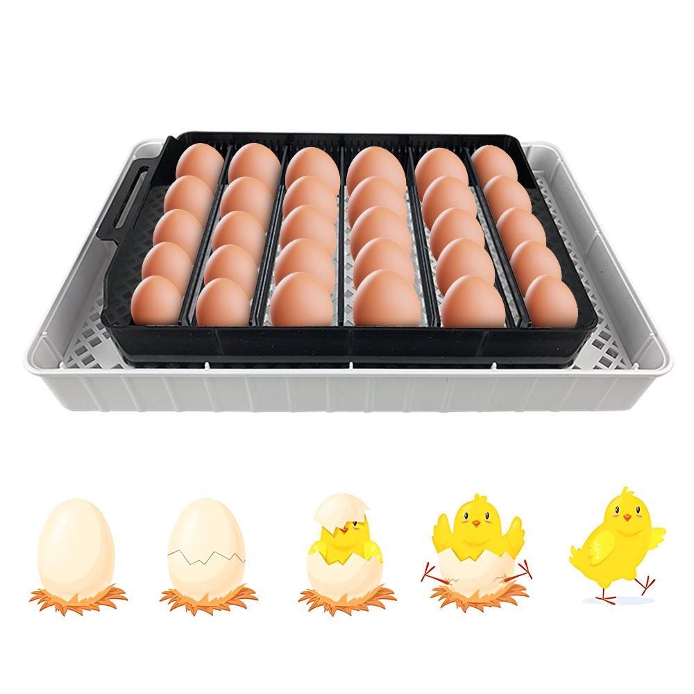 Brutkasten für 12 Eier mit automatischer Eierwendung, Feuchtigkeitskontrolle, Temperaturanzeige und Eierdurchleuchtung