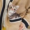 3D Cat Plush Toy Throw Pillow - Cute Stereo Cat Doll for Kids' Birthday Gift