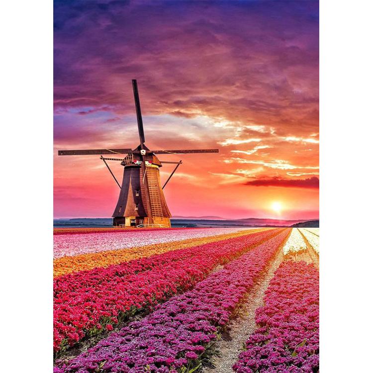 5D DIY Diamond Painting Wonderful World Art Diamond Embroidery Rhinestones Decorations for Home