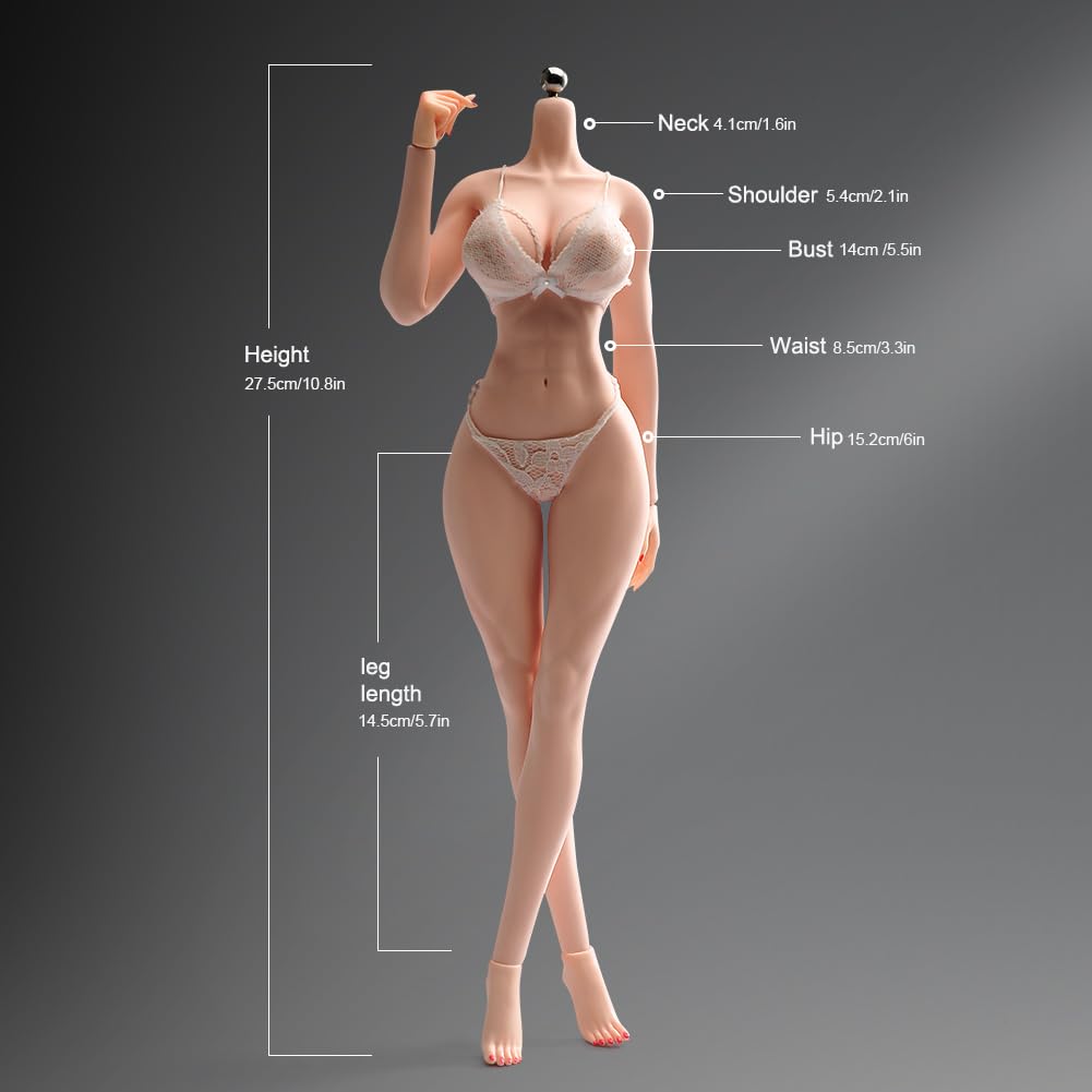 Scale Female Muscle Fitness Super Flexible Seamless Pale Skin Figure with Stainless Steel Miniature Soldier Action Figure Model Collection Doll 1/6