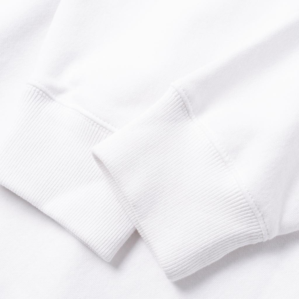 Polo Ralph Lauren Einfarbiges Riding Bear Hoodie Herren Hoodies Weiß 710853309-006