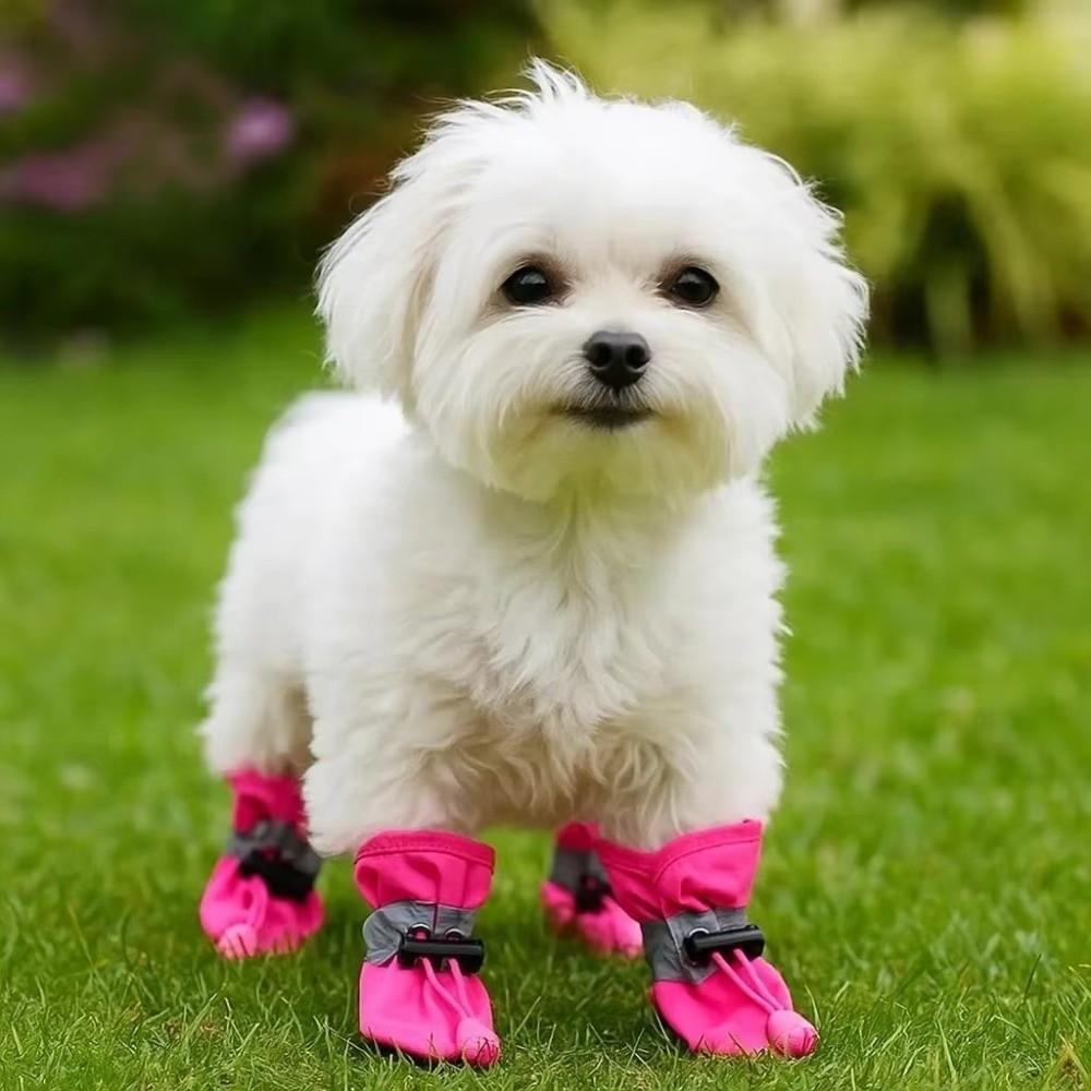 4Pcs Anti-Slip Pet Dog Shoes Waterproof Adjustable Drawstring Dog Booties Anti-Scratch Thick Grip Pet Paw Accessories Small Dog