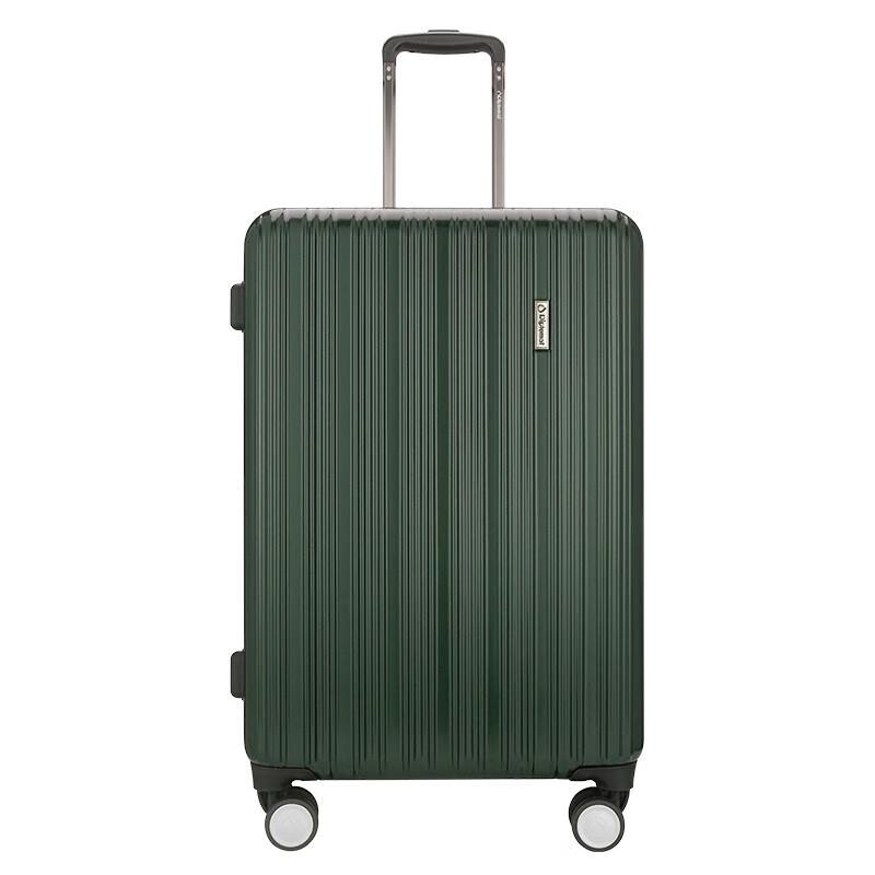 Diplomat DS-13079 Hardside Spinner Luggage 24-inch