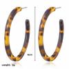 Vintage Leopard Round Acetic Acid Sheet Hoop Earrings For Women Big Minimalistic Circle Acrylic Earrings New Boho Jewelry