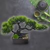 Leap Raupe Bonsai Artificial Tabletop Mini Set of 2 Plants, Bonsai,