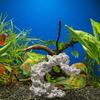Nascondiglio per la Riproduzione dell'Acquario Ornamento Accessorio per il Paesaggio dell'Acquario Scultura Artigianato Statuetta Marina Statua Decorazione Nido Aquascaping