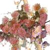 Nemophila Luxury Artificial Flower Arrangement for Living Room and Dining Table
