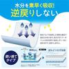 Pet Sheets W Deodorization Thick Type Regular 3 Times Absorption 3345cm 100 Included