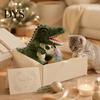 Gift for Cat Lovers Wrestling Glove with Arm Sleeve, Dinosaur Interactive Toy, Puppet Bite Proof Handling Protective 2 Feather Toys Indoor Cats