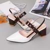 Sandals for women's summer 2024 new Korean version with pointed toe buckle and Roman shallow mouth thick heel high-heeled shoes