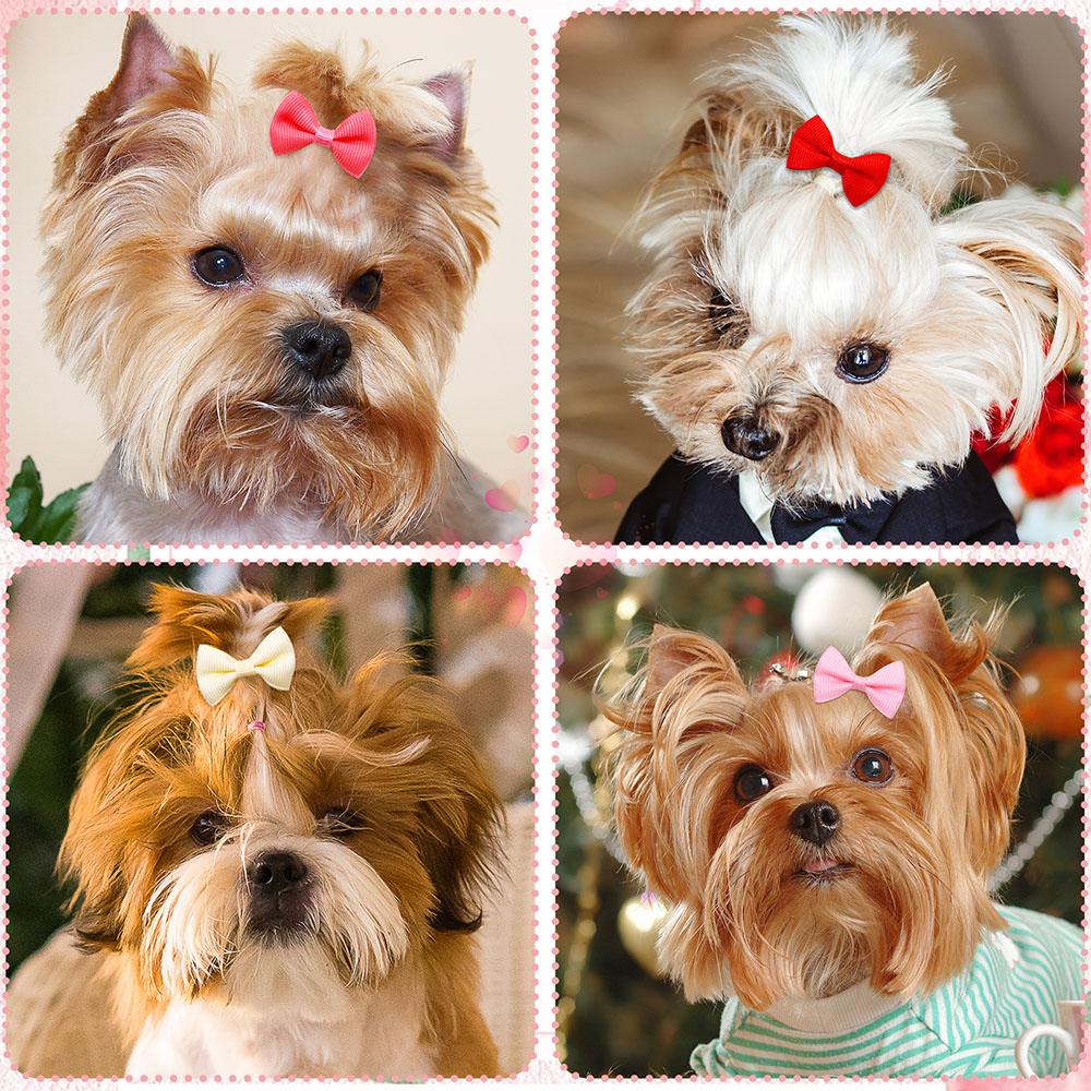 10/30/50PCS Small Dog Bows With Rubber Bands Handmade Puppy Bows Hair Accessories Pet Dogs Bowknots Pet Supplies For Dogs