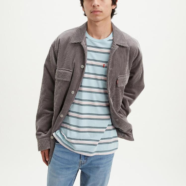 Levis Loose Fit Striped T-Shirt Men Tops Blue 29813-0102