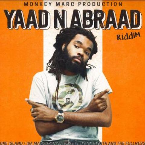 12inch Record VARIOUS - Yaad N Abraad Riddim EP DK04 Digi Killaz EU 2018 Europe Reggae, Ska & Dub