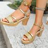 Fashion 2025 New Women High Heels Sandals Summer Thick Platform Roman Sandals Woman Ankle Straps Vacation Leisure Beach Shoes