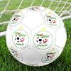 Algeria National Football Logo Size 5 Soccer Ball, Machine-Stitched PVC, Durable & High Bounce, All Ages Fit, Fan Merchandise, Matches & Outdoor Use.