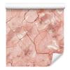 Coral and Peach Marble Wallpaper for Living Room and Bedroom 50x1000