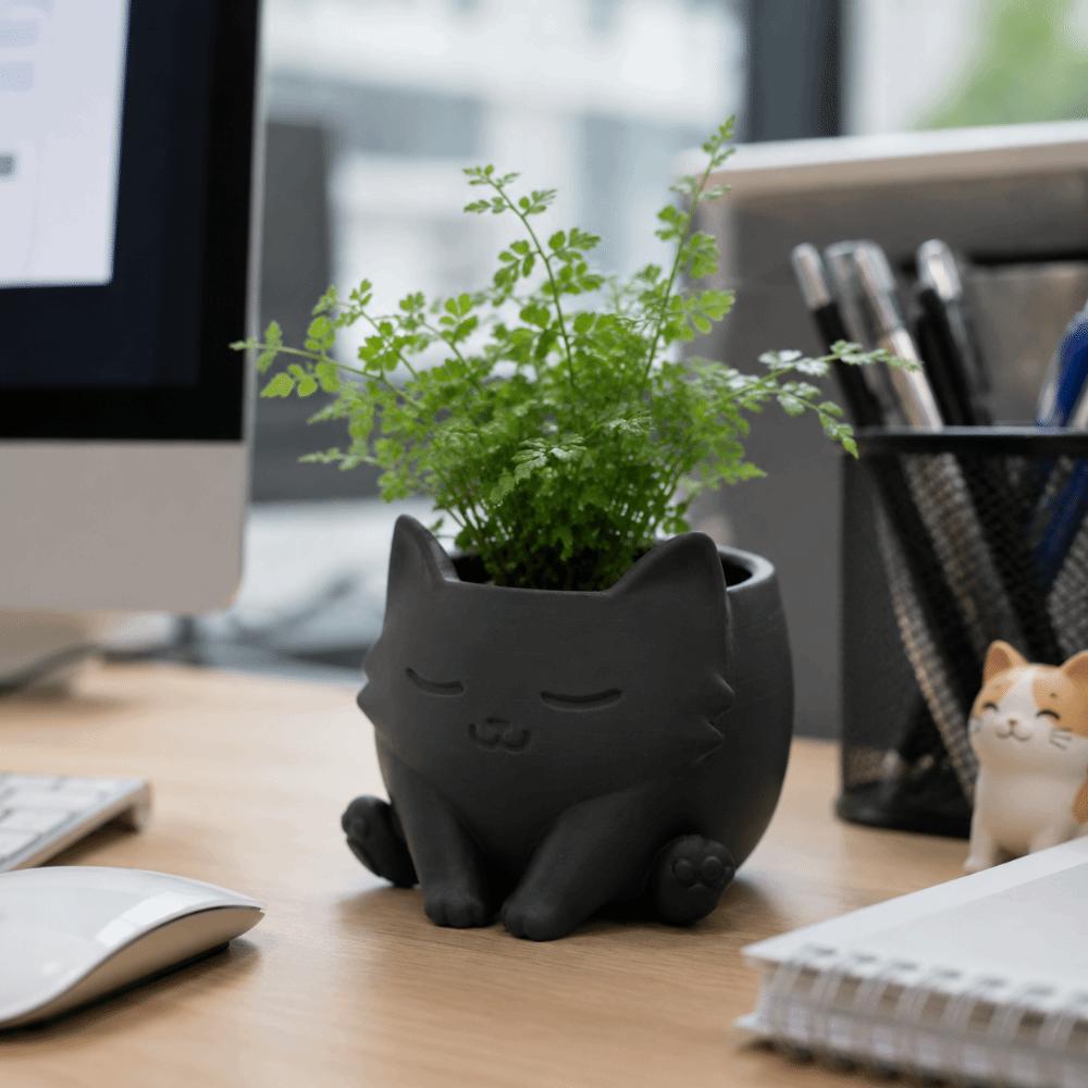 Lovely Succulent Flower Pot 3d Printed Mini Flowerpot Table Organizer Plant Container  Gift