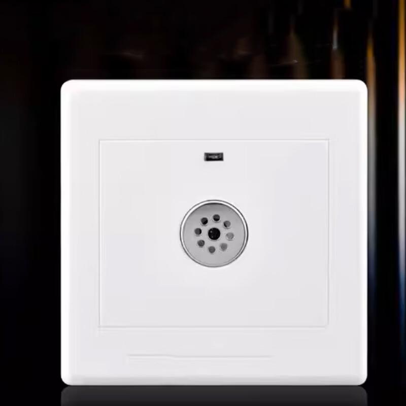 High-Power Voice-Activated Switch