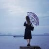 Clear Bubble Umbrella Wedding,Transparent Umbrella Windproofs Canopy Rain Bubble Umbrella Church Glass Stick Umbrella