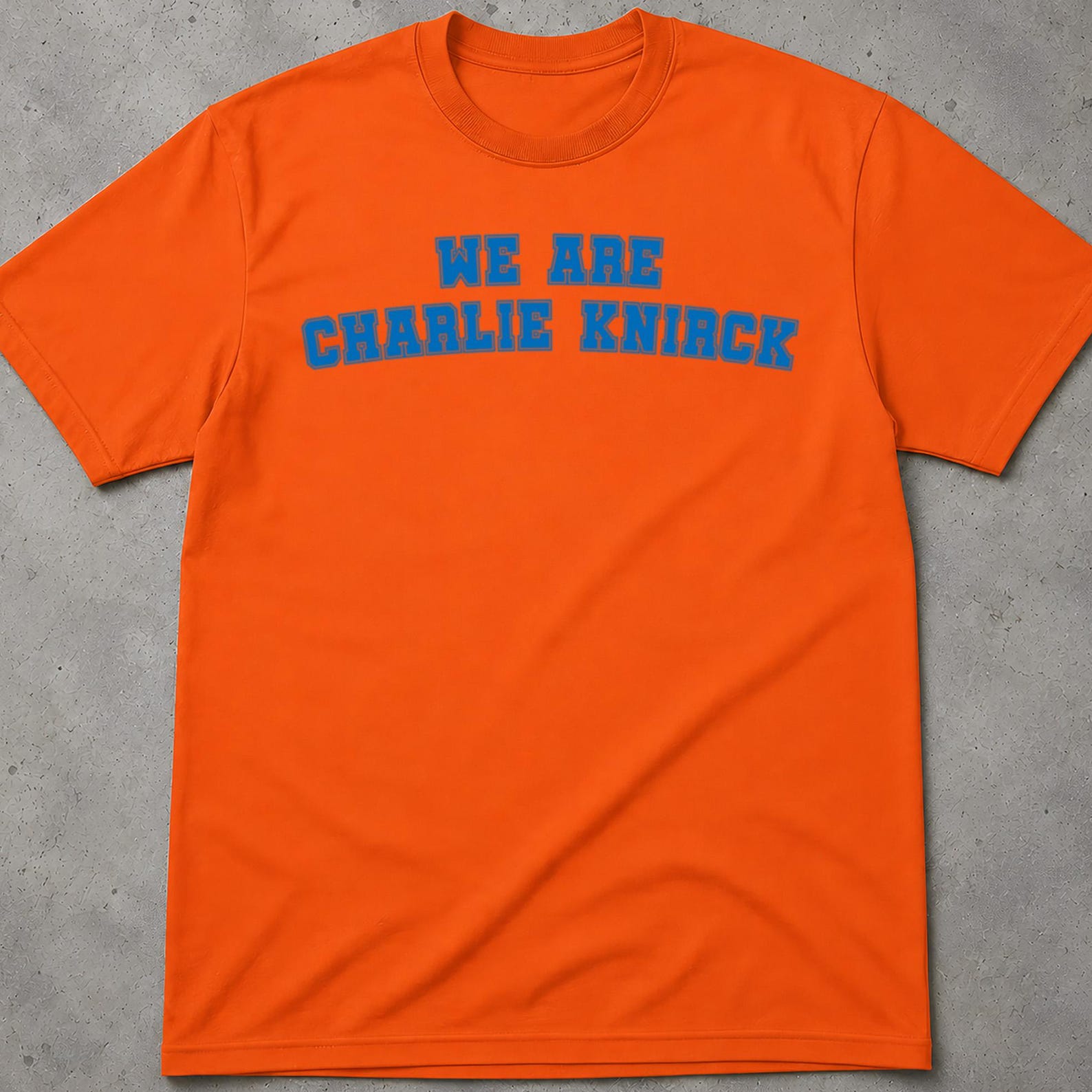We Are Charlie Knirck Tee, Knicks Merch, Knicks Jersey, Ny Knicks, New York Knicks T Shirt, Knicks Baby Tee, New York Knicks Shirt, Knicks S