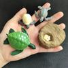 Children Simulation Biology Model Toy Animal Plant Life Growth Cycle Montessori Children Toys Set Teaching Aids Educational Toys