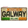 Vintage USA Metal Plates, Retro California 15x30cm Plaque, Florida Metal Tin Sign Poster, Bar, Garage, Gifts, Room Decor WY289
