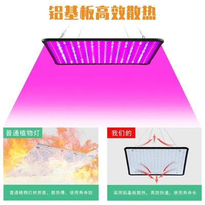 Zimmerpflanzen Wachstumslampe EU/AU/UK/US Stecker Mehrere Farben Verfügbar Neueste Wachstumsleuchten LED Vollspektrum Pflanzenlampe Gewächshaus