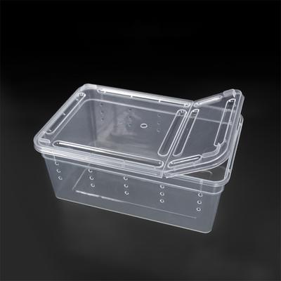 19cm x 12,5cm x 7,5cm Terrarium dla gadów pająk przezroczyste plastikowe pudełko do karmienia pokarm dla owadów pojemnik na karmę