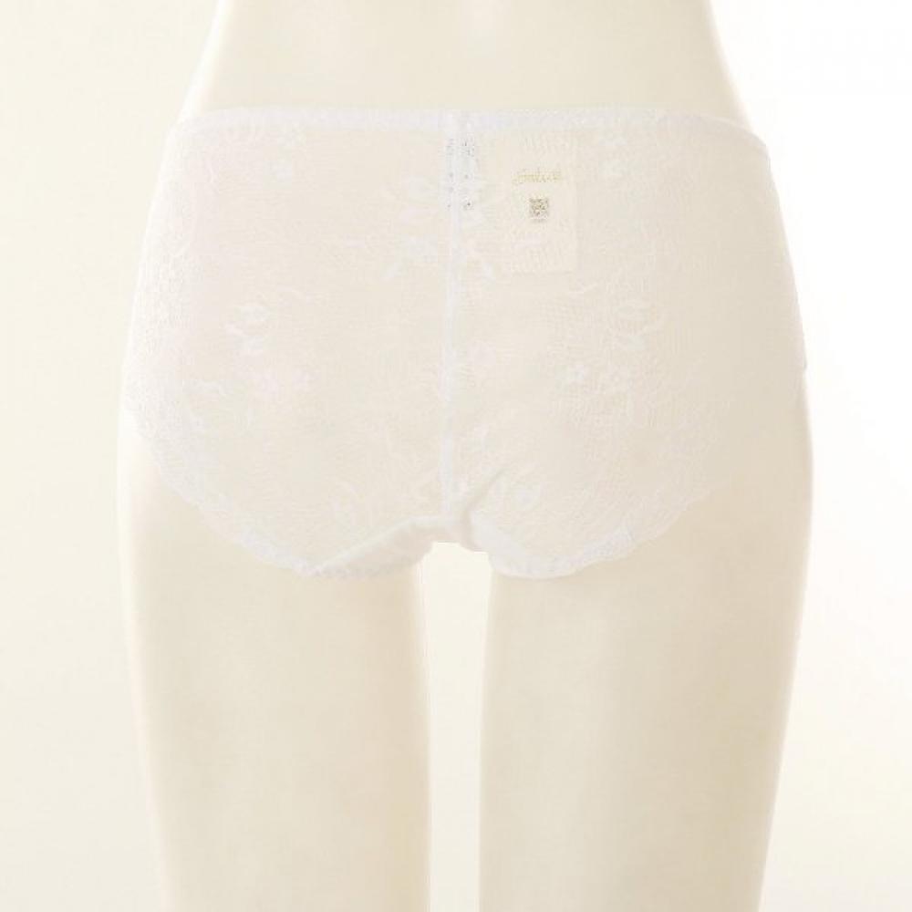 Wacoal Floral Angel Mesh Hip Lace Panty Dpt0460s