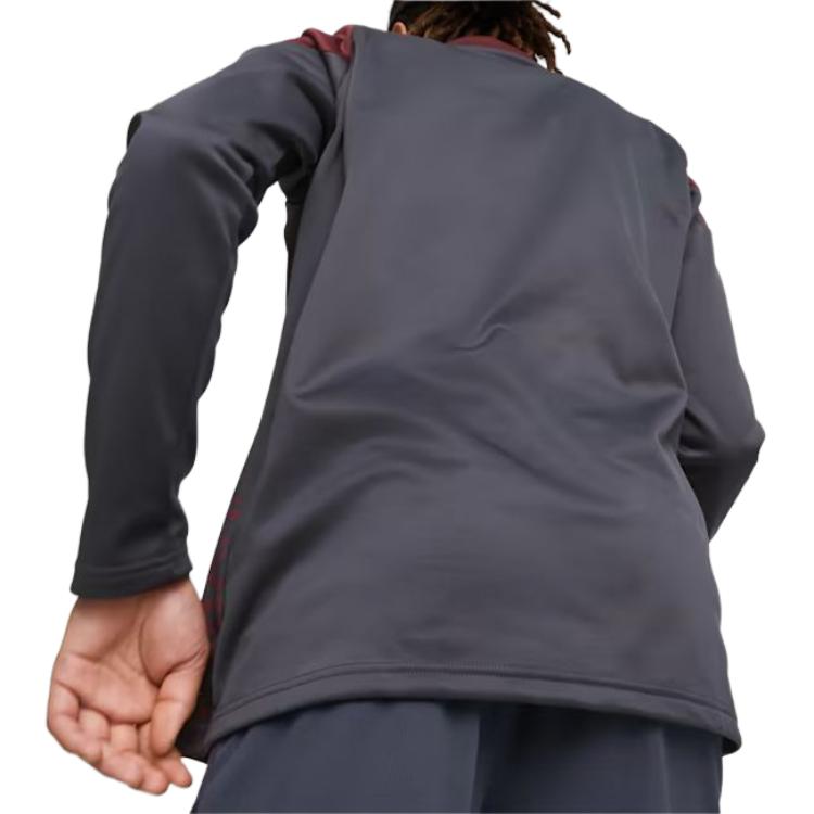 Puma 2023-24 Manchester City Fleece Logo Half-Zip Rundhals Langarm Fußballshirt Herren Oberteile Lila Rot 772861-16