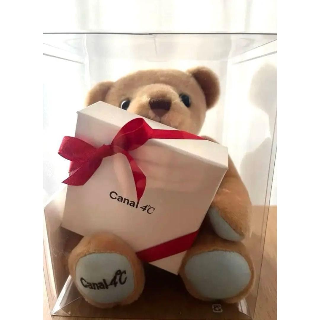 Canal 4C Bear Music Box Plush Toy with Box
