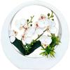 Wandhängender Mondtopf Künstliche Orchidee 28cm für Hochzeit Heimdeko Wohnzimmer Schlafzimmer Café Fotografie Styling Lebensechtes Design