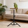 Alloy Bird Training Perch Adjustable Height Outdoor Bird Stand  Indoor Play Area