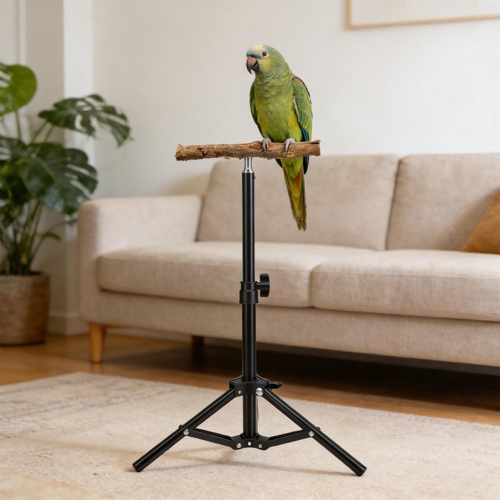 Alloy Bird Training Perch Adjustable Height Outdoor Bird Stand  Indoor Play Area