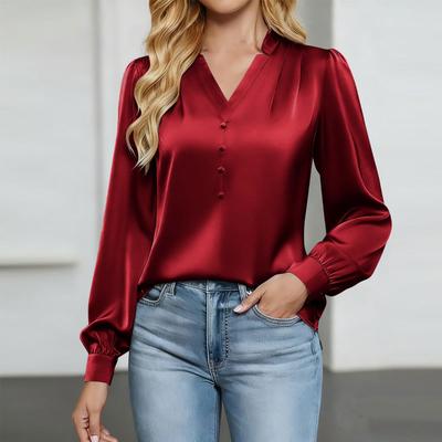 Women's Silk Shirt Casual Work Business Shirt Long Sleeve V-Neck Top
