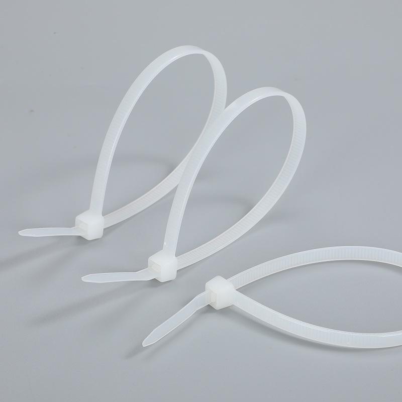 Nylon Self-Locking Cable Ties - Black, Small & Large Packs, Durable Tie Wraps for Bundling