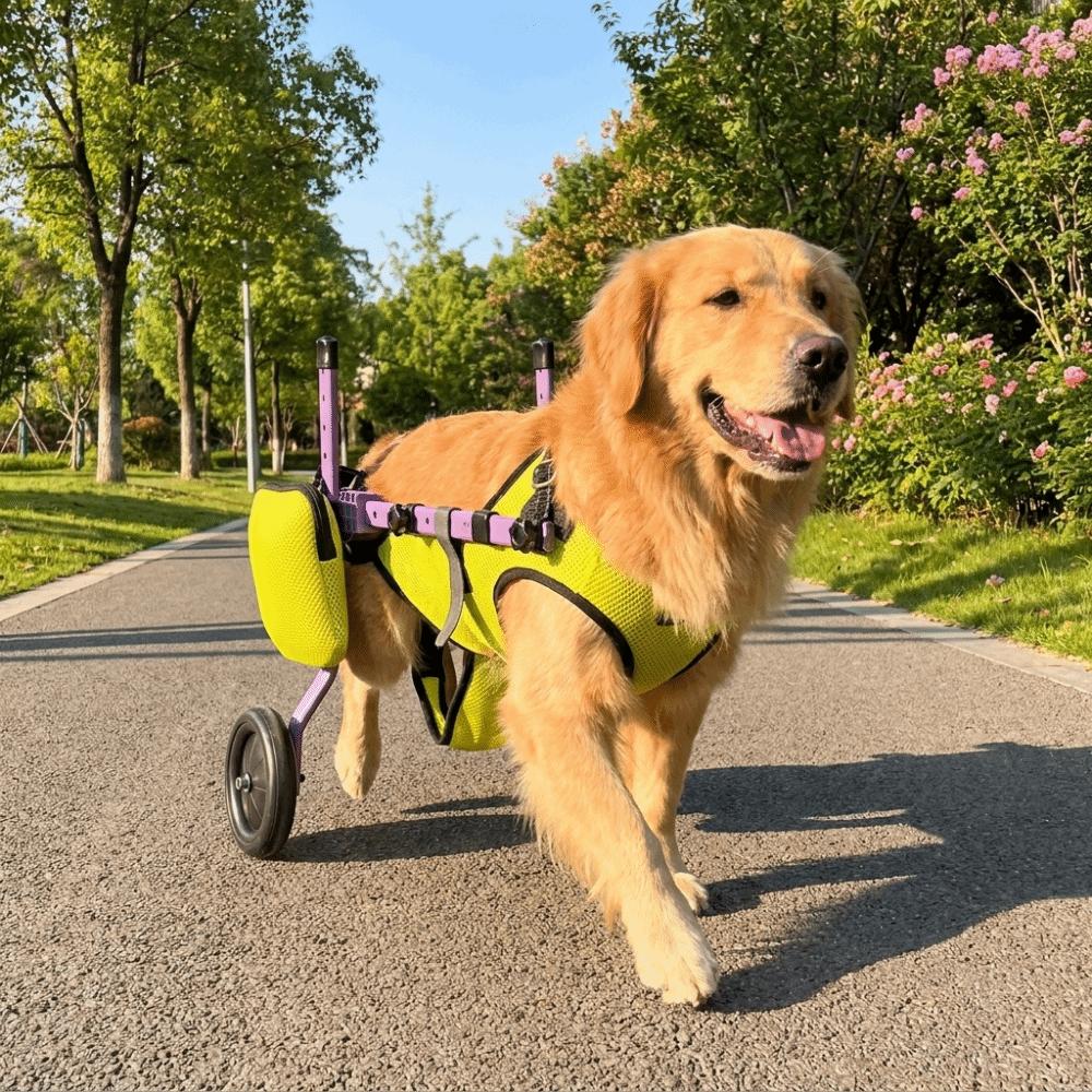 Adjustable Dog Wheelchair Breathable with Wheels Pet Walk Trolley Hind Leg Support Pet Rehabilitation Walking Aids