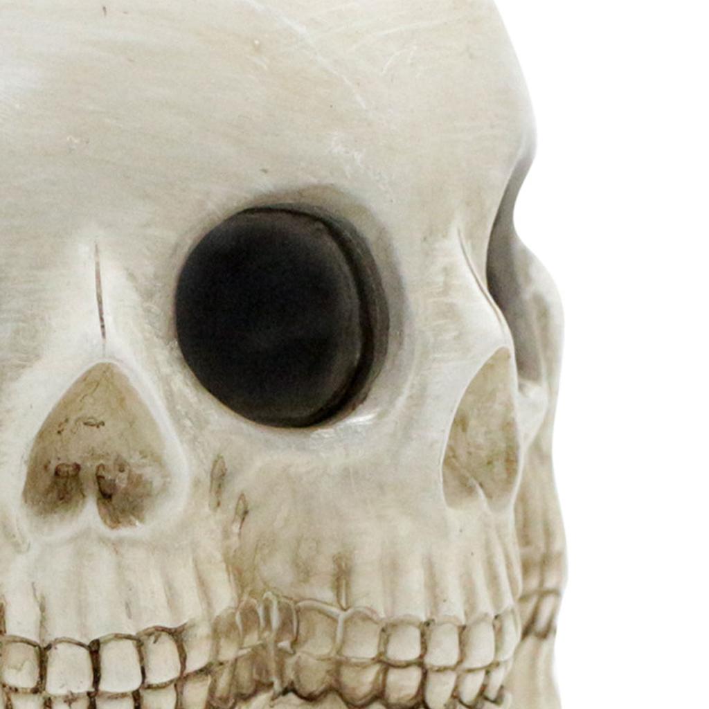 Wielopłaszczyznowa Czaszka Doniczka Ozdoby Żywica Dom Ogród Horror Dekoracja Czaszki Krajobraz