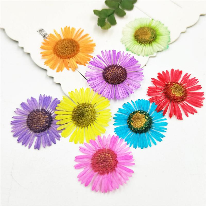 30PCS/Bag Dried Flowers Decor DIY UV Resin Mold Fillings Nail Art Flowers Stickers For Jewelry Making Home Decoration Handicraft