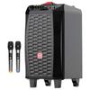Malata M+9097 Portable Outdoor Speaker (CN Version)