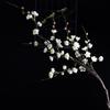 Fiore Artificiale di Prugno in Seta con Gambo Lungo da Pavimento per Decorazioni Matrimoniali e Soggiorno