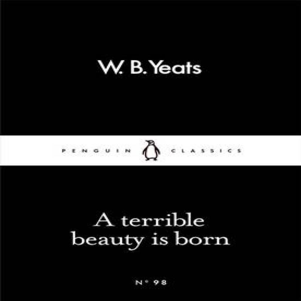 A Terrible Beauty Is Born by W B Yeats Paperback Book 9780241251515