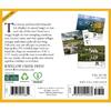 Willow Creek Press, Ireland 2026 Desk Calendar, 6.18'' X 5.43'', Daily Calendar with Adhesive Binding